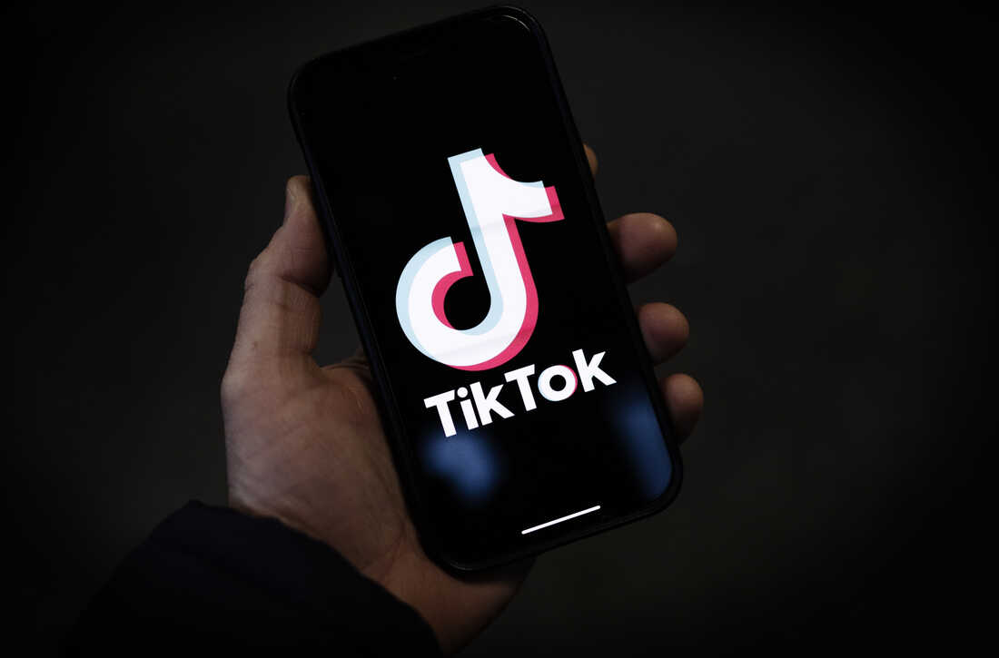 Earn Money From TikTok